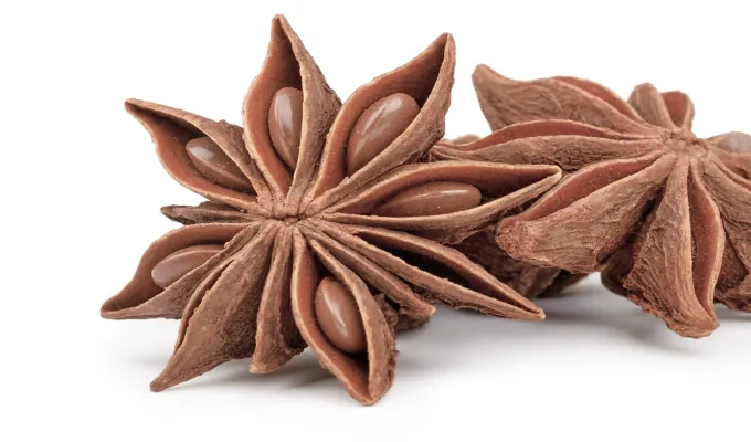 Star Anise – EmmaRelife natural digestive relief ingredient
